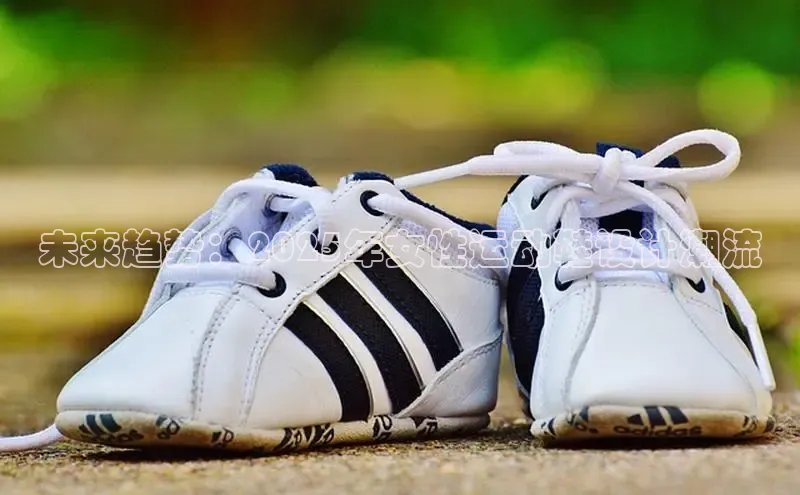 头号玩家娱乐平台